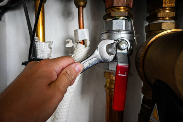 Best Local Plumber Services  in Madison, WI